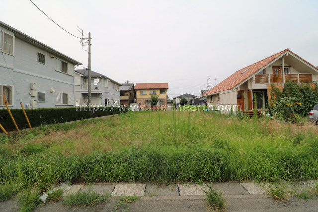 写真あり