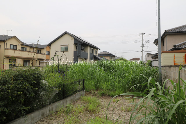 写真あり
