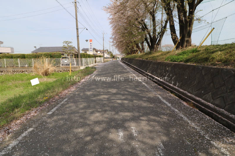 南側接道道路状況