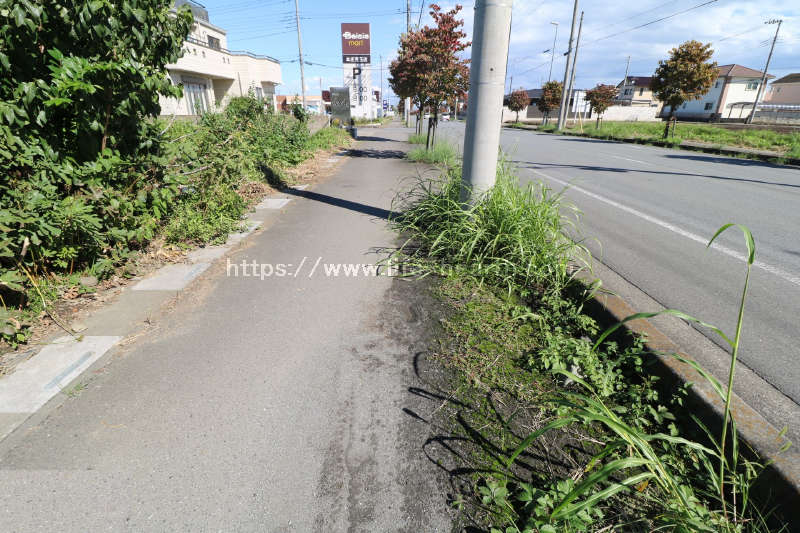 南側接道道路状況