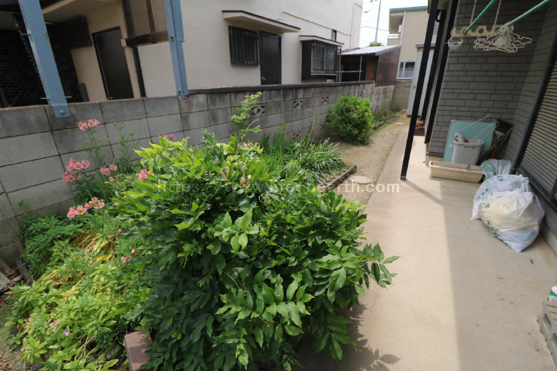 建物南側状況