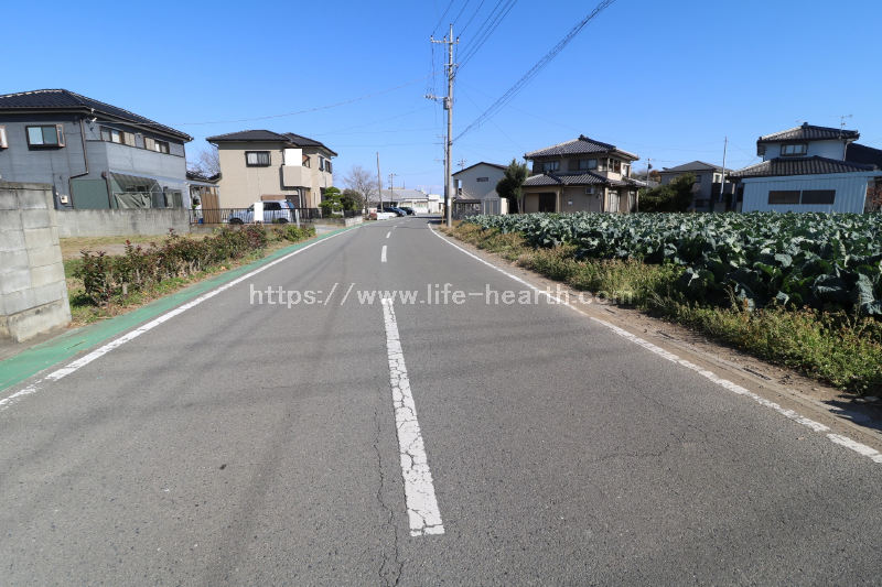 南東側接道道路状況