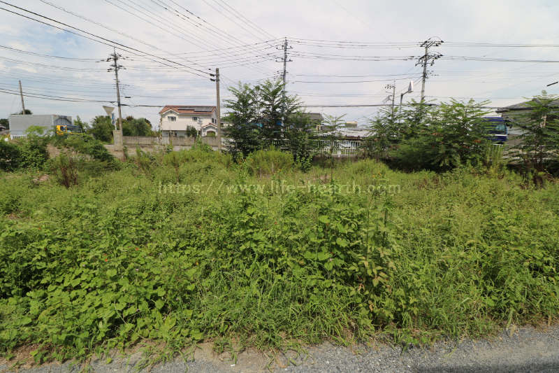 南側正面土地