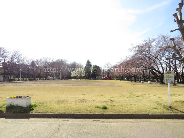 本庄市城下公園近く