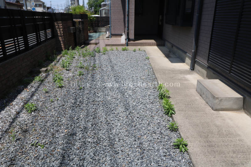 建物南側状況