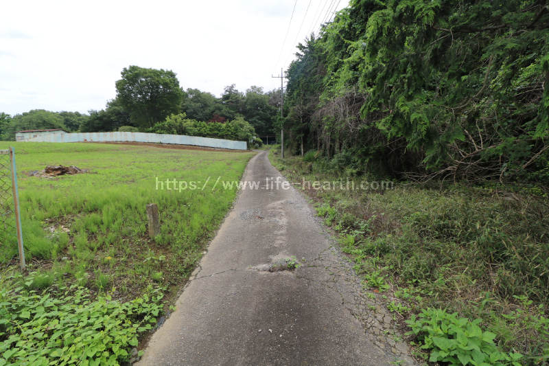 西側接道道路状況