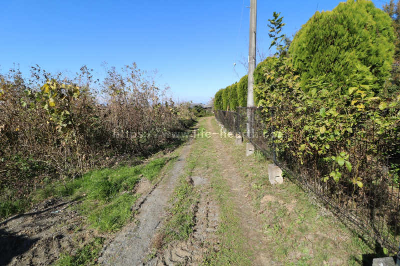 東側接道道路状況