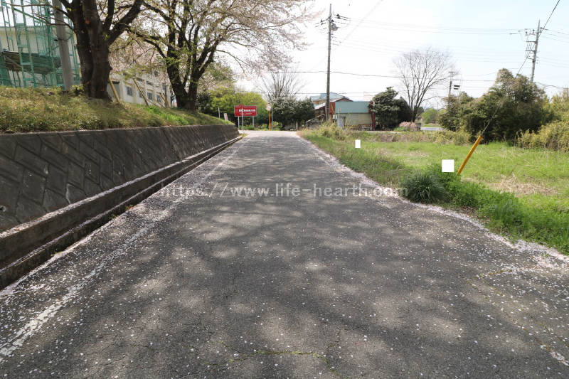 南側接道道路状況