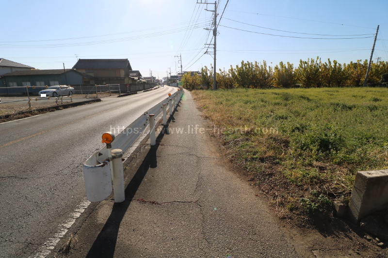 東側接道道路状況
