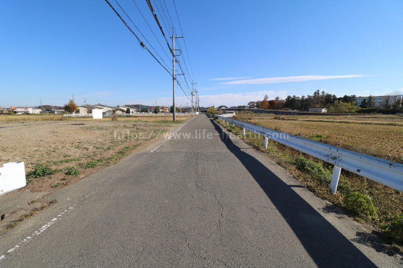 南側接道道路状況