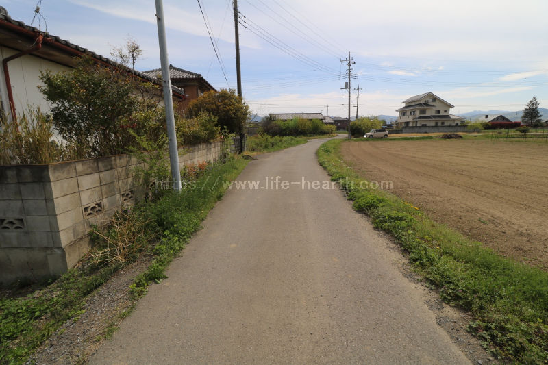 西側接道道路状況